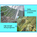 Sns Protective Fence